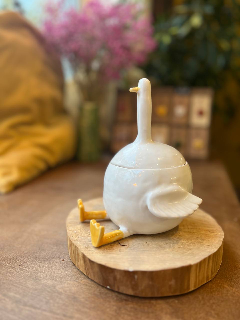 Баночка «Гусь-обнимусь» KIDS (6+) фото 1