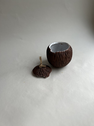 Баночка Кокос 12+ фото 3