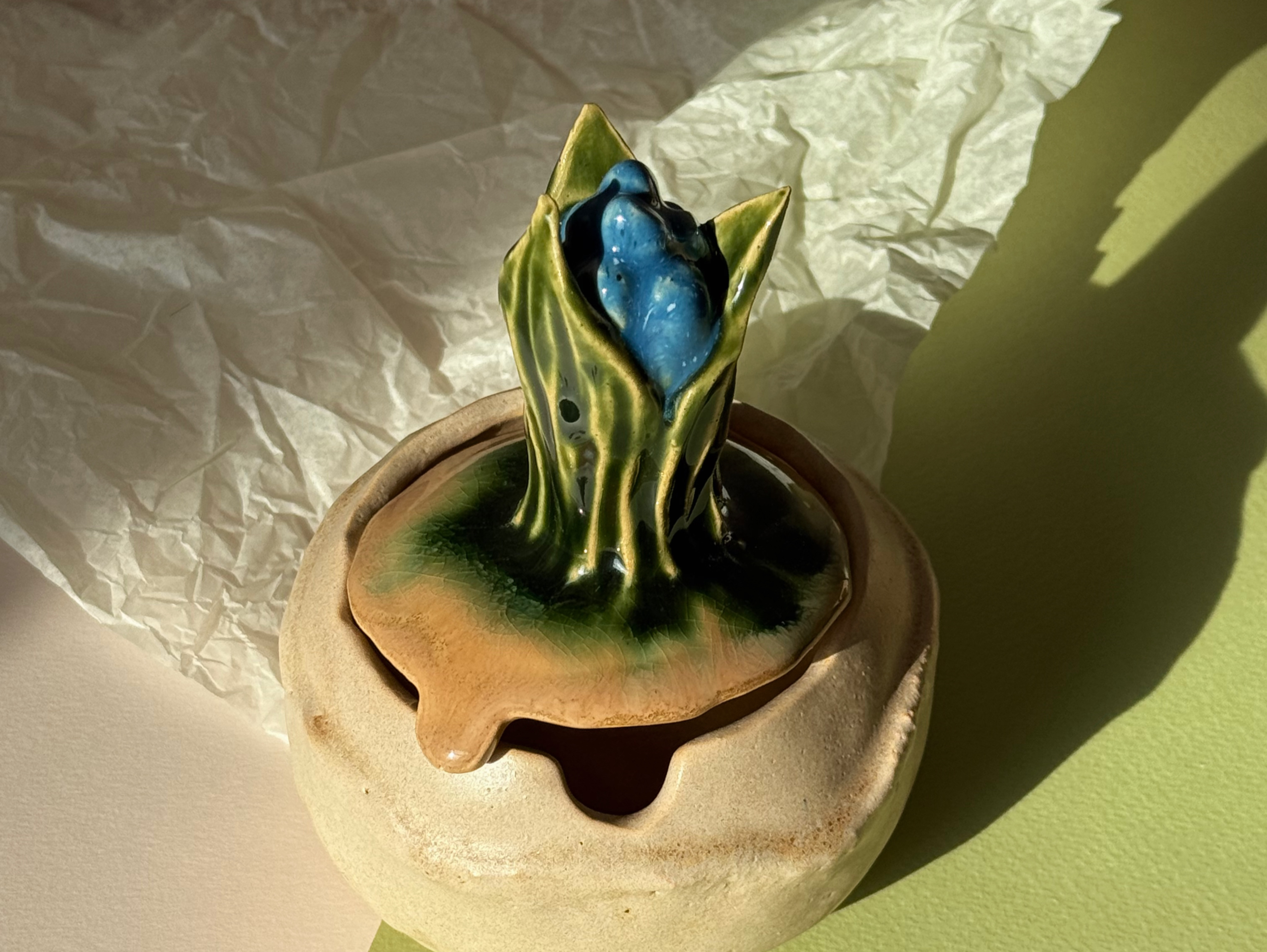 Баночка Гиацинт 12+ фото 3